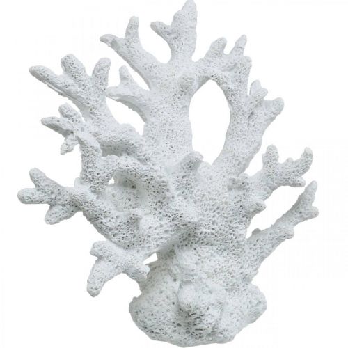 Floristik24 Décoration maritime blanc corail décoration d'été 14.5×14.5cm