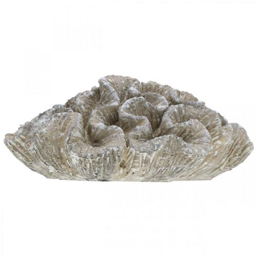 Article Décoration maritime corail beige blanc polyrésine artificielle 23x20cm