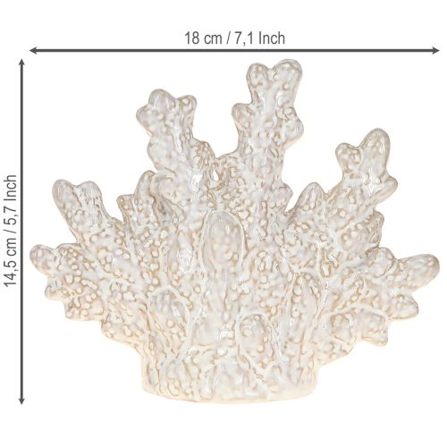 Article Décoration de table maritime en céramique corail beige H14,5cm