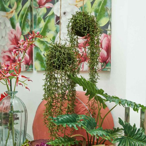 Floristik24 Cactus corail Rhipsalis artificiel cintre 90cm