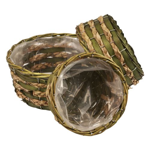 Floristik24 Corbeille à plantes ronde tressée bois vert Ø26/21/18cm lot de 3
