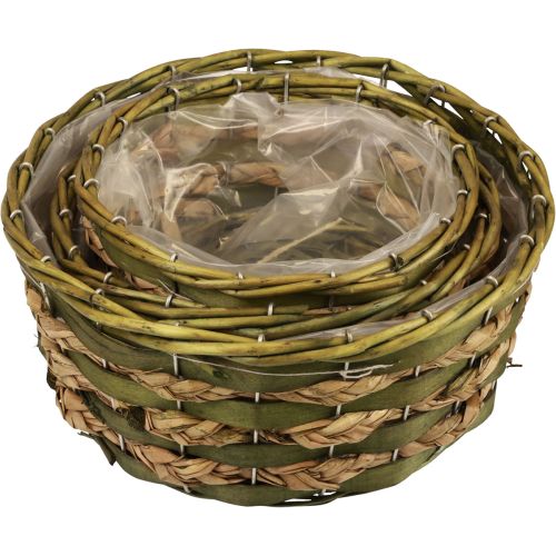 Floristik24 Corbeille à plantes ronde tressée bois vert Ø26/21/18cm lot de 3