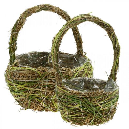 Floristik24 Panier à plantes avec poignée panier à ressort vert 14×25/18×28cm lot de 2