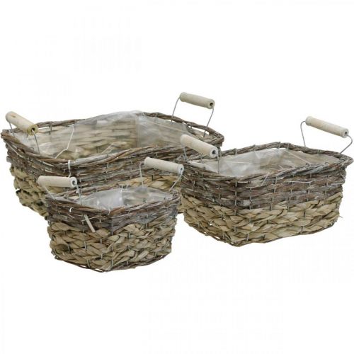 Floristik24 Panier à plantes avec anses, bol panier carré, jardinière naturelle pour planter shabby chic blanc lavé L30/25,5/21 cm H12/11/10 cm lot de 3