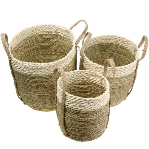 Floristik24 Panier en sisal Ø37 / 30 / 25cm 3pcs