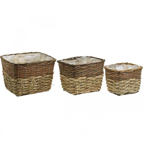 Article Panier à plantes, bac naturel à planter, coupe fleur carré naturel L29.5/26/23cm H21/19/16cm lot de 3