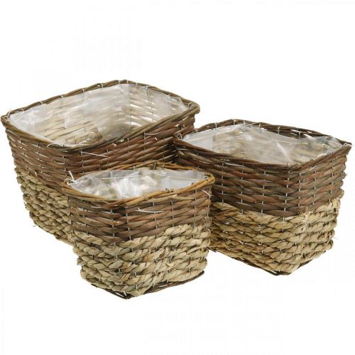 Floristik24 Panier à plantes, bac naturel à planter, coupe fleur carré naturel L29.5/26/23cm H21/19/16cm lot de 3