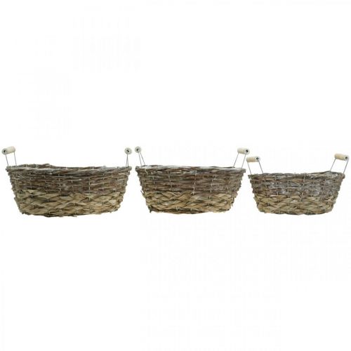 Article Panier naturel à planter, panier avec anses, jardinière shabby chic blanc lavé L31/27.5/24cm H12/11.5/10cm lot de 3