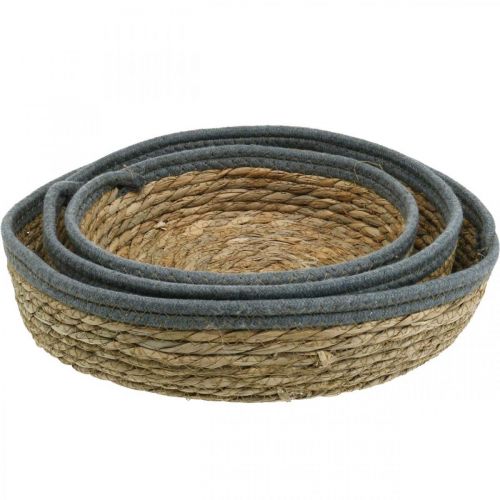 Article Panier plateau rond, coupe plante naturelle, plateau déco tressé nature Ø33/30/25cm H8/7cm lot de 3