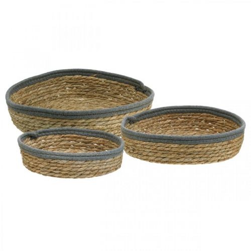 Floristik24 Panier plateau rond, coupe plante naturelle, plateau déco tressé nature Ø33/30/25cm H8/7cm lot de 3