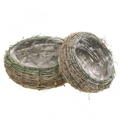 Floristik24 Panier à plantes rond vigne bicolore, bois Ø18/25cm, lot de 2