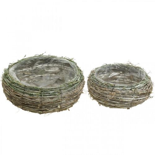 Floristik24 Panier à plantes rond vigne bicolore, bois Ø18/25cm, lot de 2