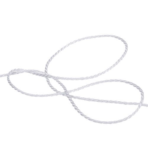 Floristik24 Cordon blanc 2mm 50m