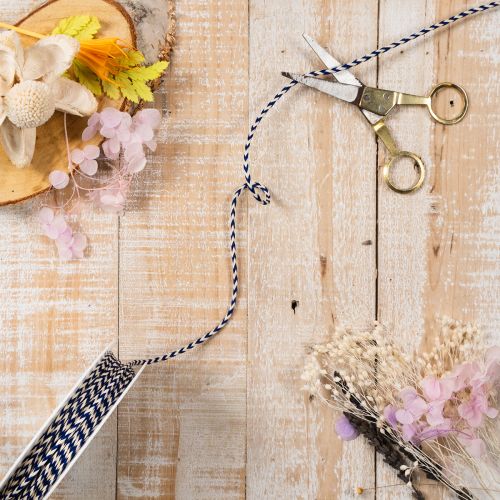 Ruban/cordon rayé pour cadeaux, idéal pour la décoration créative, 3 mm d'épaisseur, 20 m de long. | Floristik24.fr