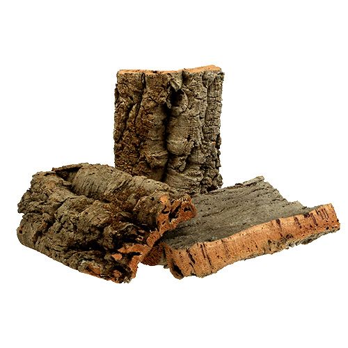 Floristik24 Liège naturel 30cm x 20cm 5 pcs