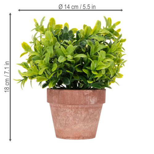 Article Plante artificielle en pot, texture réaliste, pour la décoration intérieure, 18 cm, lot de 3.