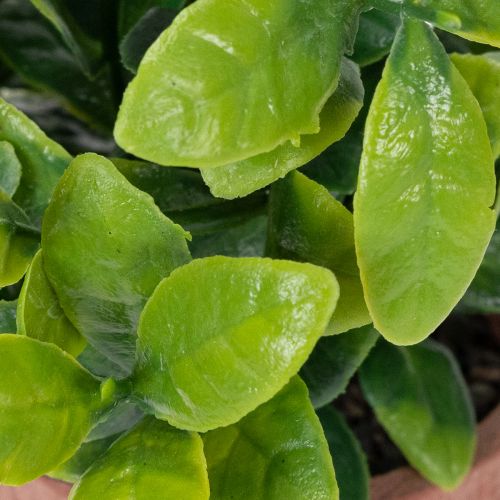 Article Plante artificielle en pot, texture réaliste, pour la décoration intérieure, 18 cm, lot de 3.