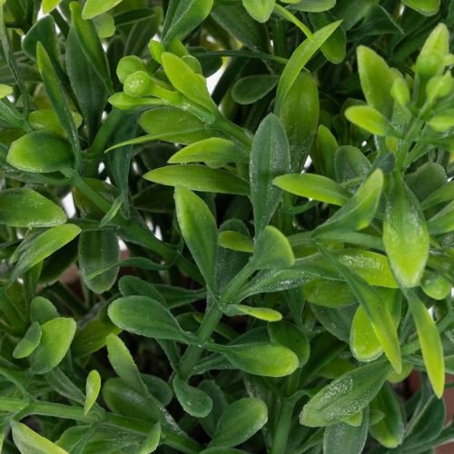 Article Plante artificielle en pot, texture réaliste, pour la décoration intérieure, 18 cm, lot de 3.