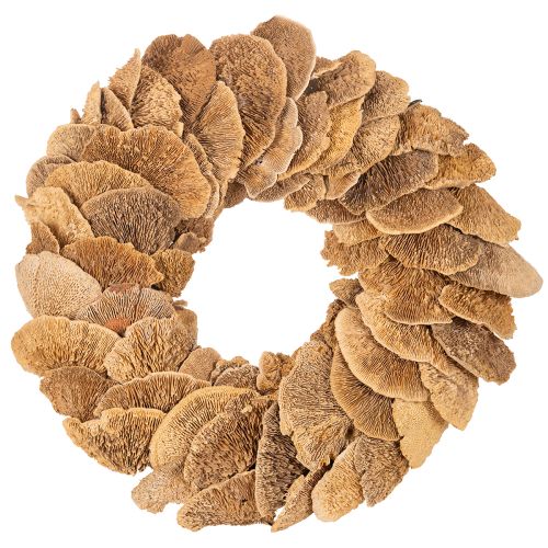 Couronne en champignons de bois naturels 37 cm pour décoration murale ou de porte acheter | Floristik24.fr