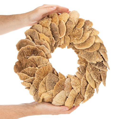 Couronne en champignons de bois naturels 37 cm pour décoration murale ou de porte | Floristik24.fr