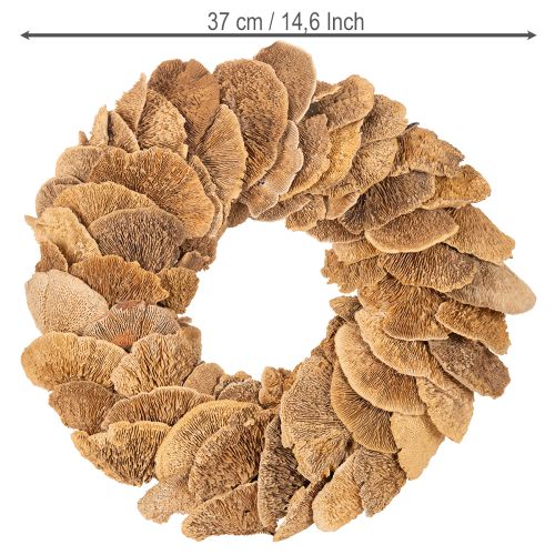 Couronne en champignons de bois naturels 37 cm pour décoration murale ou de porte | Floristik24.fr