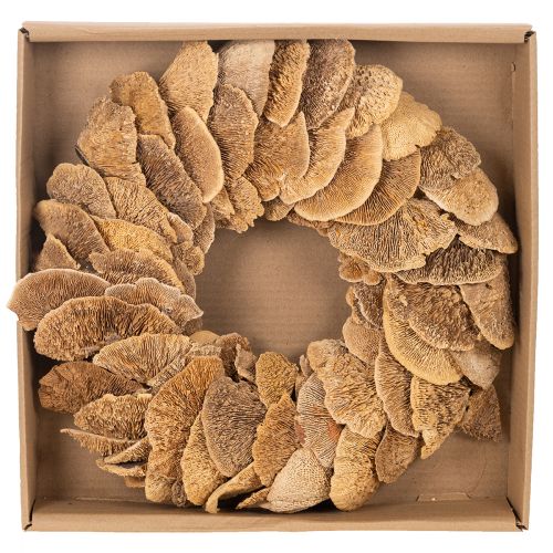 Couronne en champignons de bois naturels 37 cm pour décoration murale ou de porte | Floristik24.fr