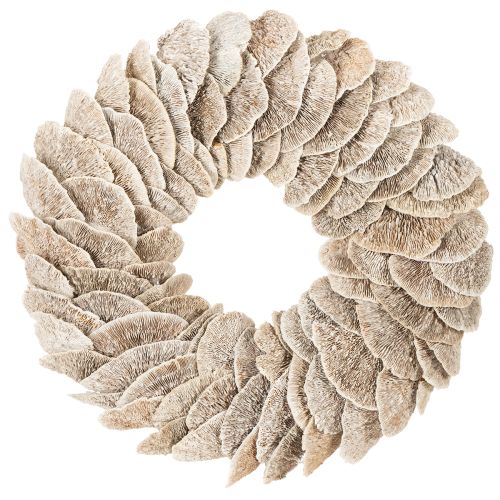 Couronne en champignon naturel blanchi avec support en fibre 37 cm pour décoration intérieure