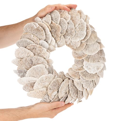 Couronne en champignon naturel blanchi avec support en fibre 37 cm pour décoration intérieure | Floristik24.fr