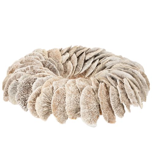 Couronne en champignon naturel blanchi avec support en fibre 37 cm pour décoration intérieure | Floristik24.fr