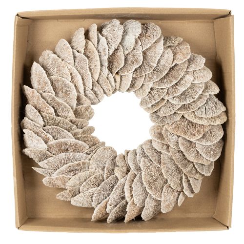 Couronne en champignon naturel blanchi avec support en fibre 37 cm pour décoration intérieure | Floristik24.fr