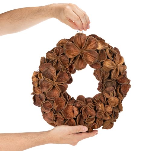 Couronne décorative en lotus séché 35 cm, marron | Floristik24.fr