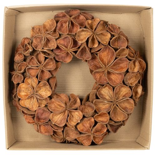 Couronne décorative en lotus séché 35 cm, marron | Floristik24.fr