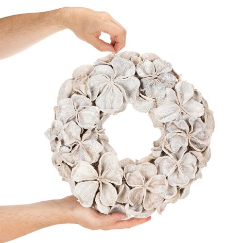 Couronne décorative séchée en lotus naturel 35 cm blanche pour intérieur | Floristik24.fr