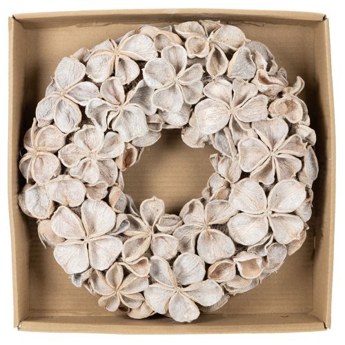 Couronne décorative séchée en lotus naturel 35 cm blanche pour intérieur | Floristik24.fr