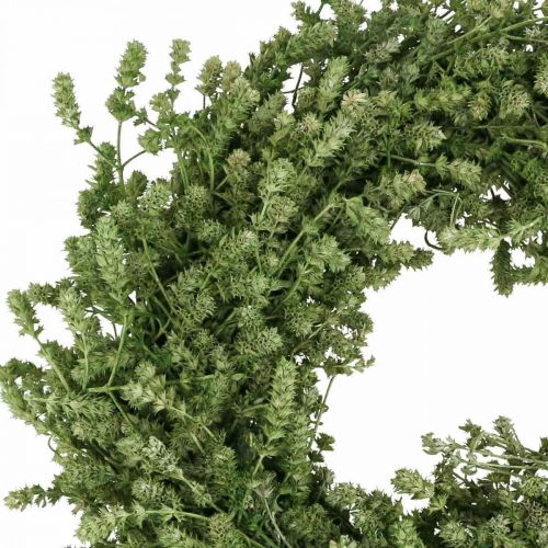 Floristik24 Couronne de Noël couronne de fleurs séchées vertes herbe de lin Ø34cm
