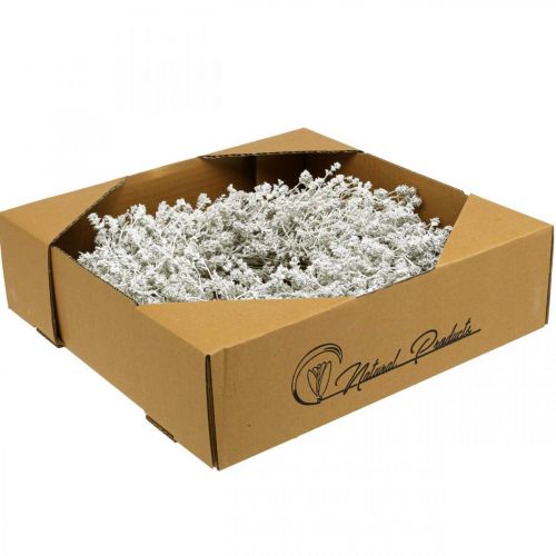 Article Couronne de Noël lin blanc couronne de fleurs séchées Ø34cm