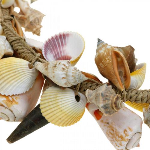 Floristik24 Couronne décorative coquillages et escargots décoration maritime naturelle Ø30cm