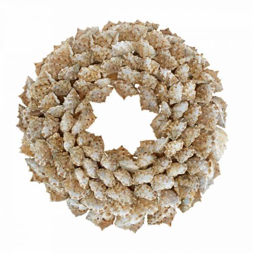 Déco guirlande escargots Décoration maritime porte guirlande escargots de mer Ø25cm