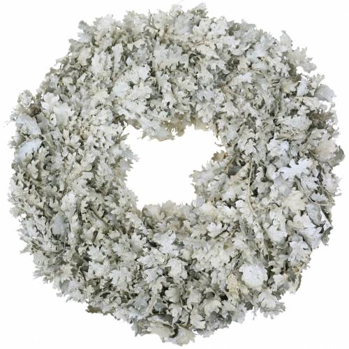 Floristik24 Couronne de feuilles de chêne lavé blanc Ø38cm