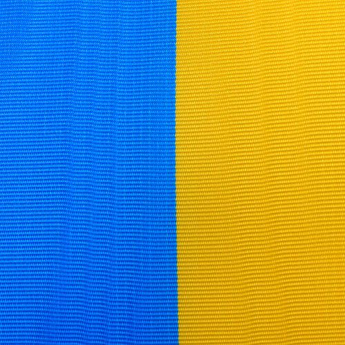 Article Ruban couronne moiré bleu-jaune 100 mm