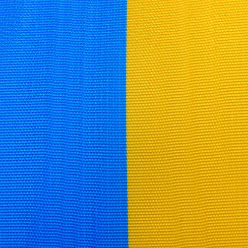 Floristik24 Rubans guirlande moiré bleu-jaune 75 mm