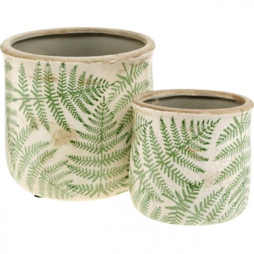 Floristik24 Jardinière faïence fougère cache-pot céramique Ø15/10,5cm lot de 2