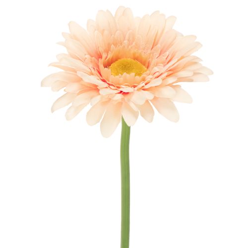 Fleurs artificielles Gerbera abricot 47 cm - Lot de 6 acheter | Floristik24.fr