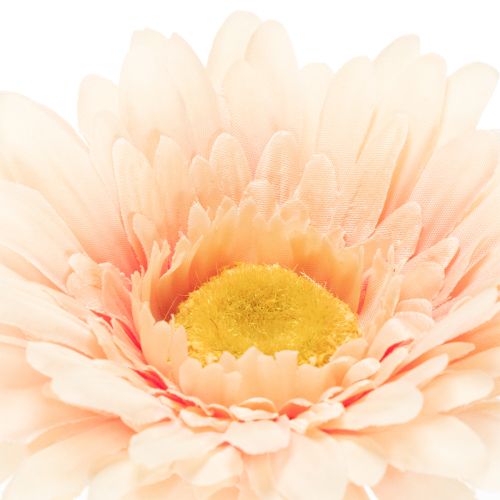 Fleurs artificielles Gerbera abricot 47 cm - Lot de 6 | Floristik24.fr