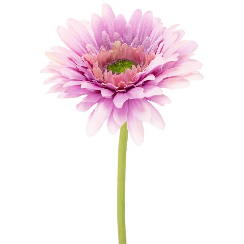 Fleurs artificielles Gerbera violet 47 cm - Lot de 6 acheter | Floristik24.fr