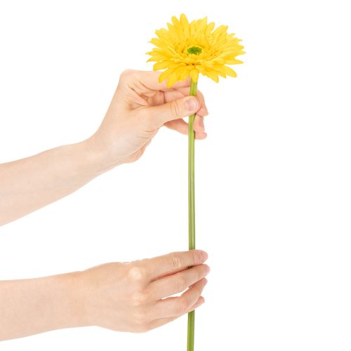 Fleurs artificielles Gerbera jaune soleil 47 cm - Lot de 6 | Floristik24.fr