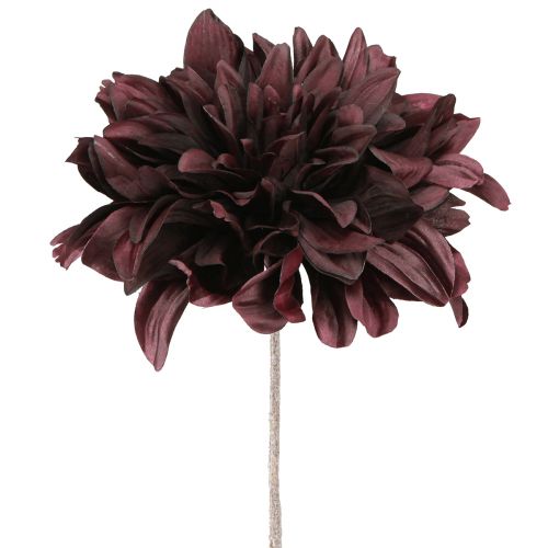 Floristik24 Dahlia artificiel à grandes fleurs bordeaux L58cm