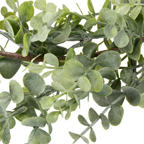 Article Guirlande d'eucalyptus artificiel guirlande décorative vert 150cm