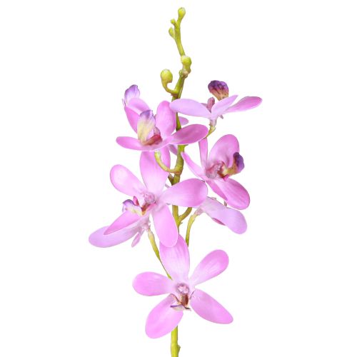 Orchidées artificielles 8 fleurs violettes Ø3,5cm–5cm 2pcs