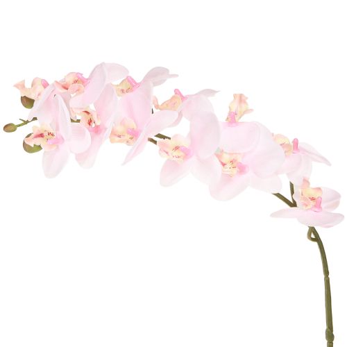 Floristik24 Orchidées Artificielles Fleurs Artificielles Rose Clair Real Touch 58cm 2pcs